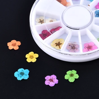 Krásne 24 Ks 3D Nail Sušených Kvetov, Nail Art Decoration DIY Real Konzervované Kvety Nechtov Kamienkami Pre Manikúru Nástroje