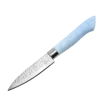Z nehrdzavejúcej ocele plastová rukoväť lúpací nôž domácnosti deboning chopper kuchynské nože